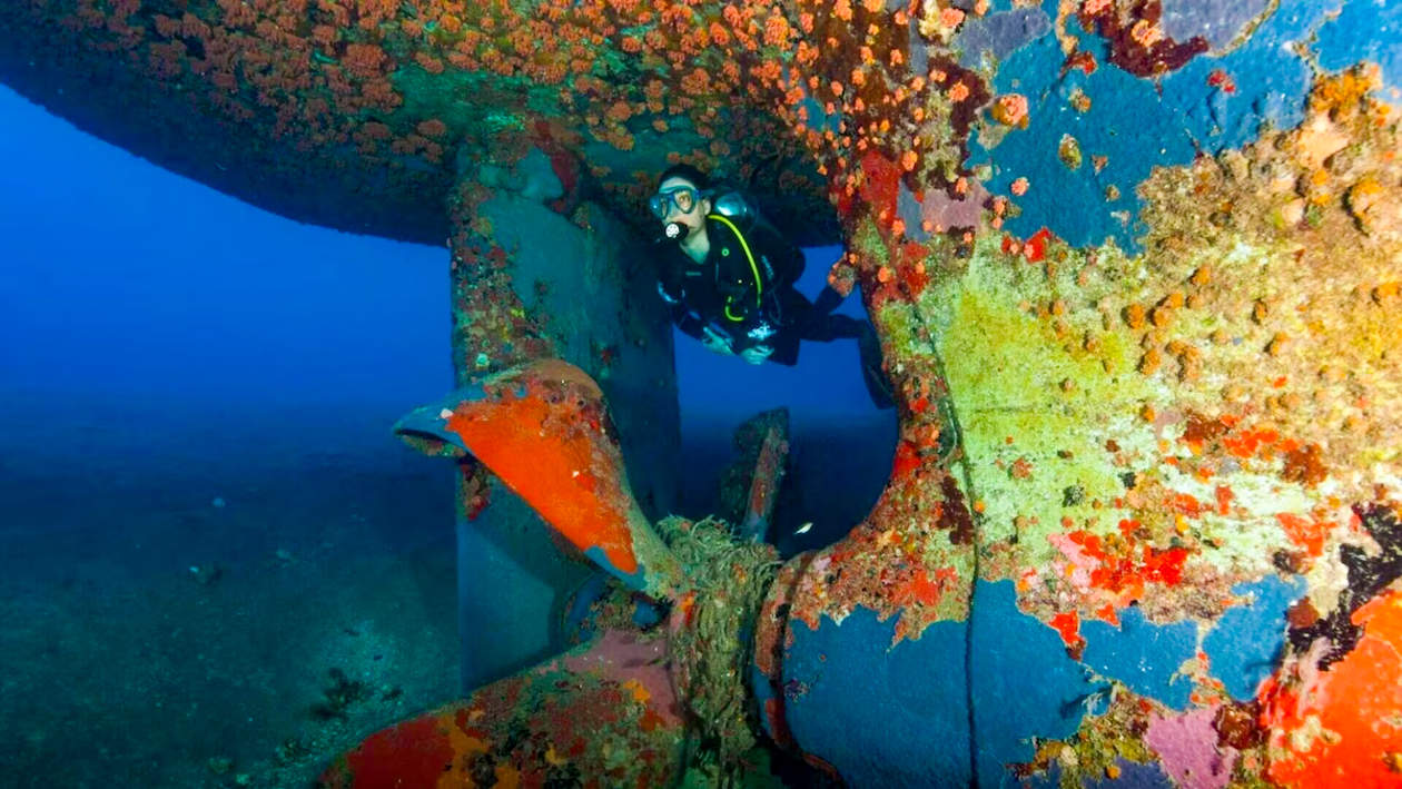 St. Eustatius hotel with scuba diving options