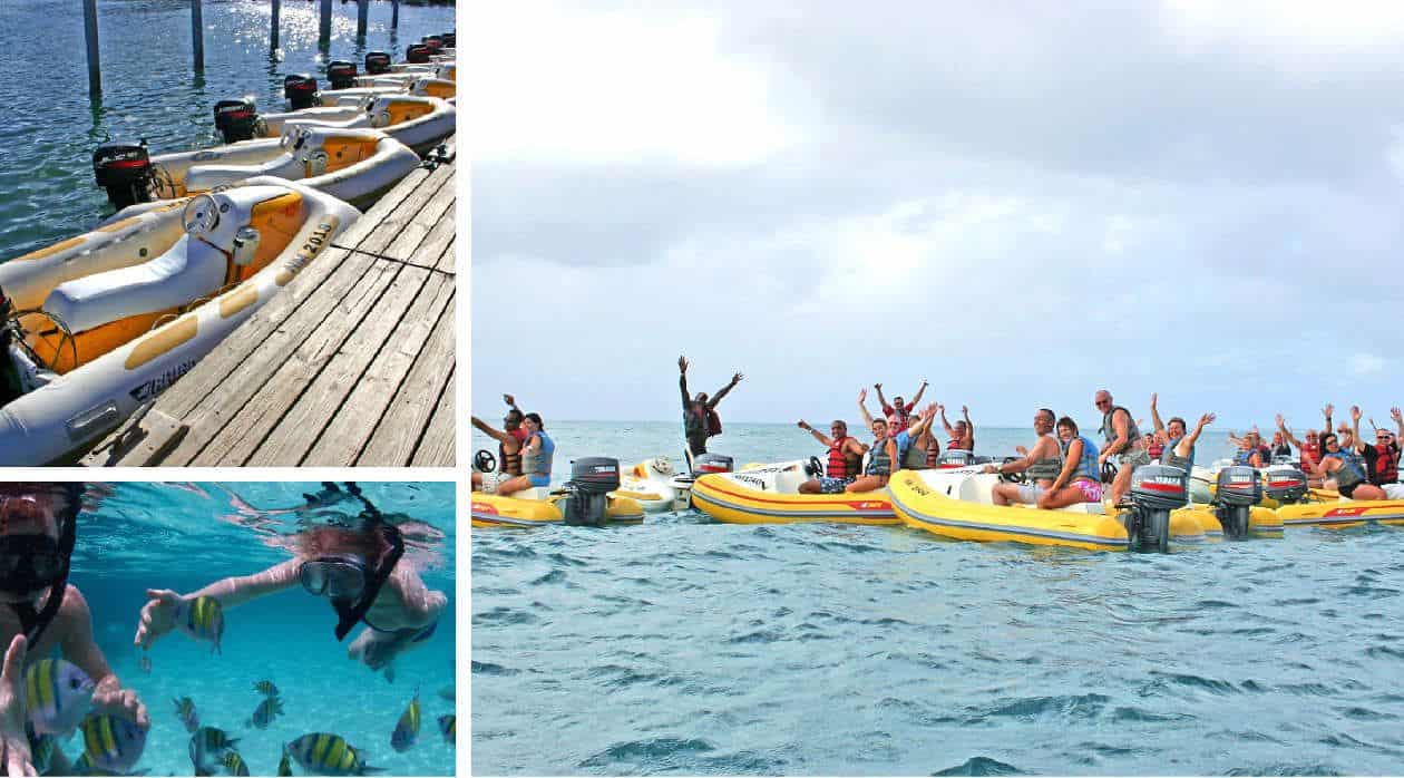 rhino safari boat excursions st maarten collage 2